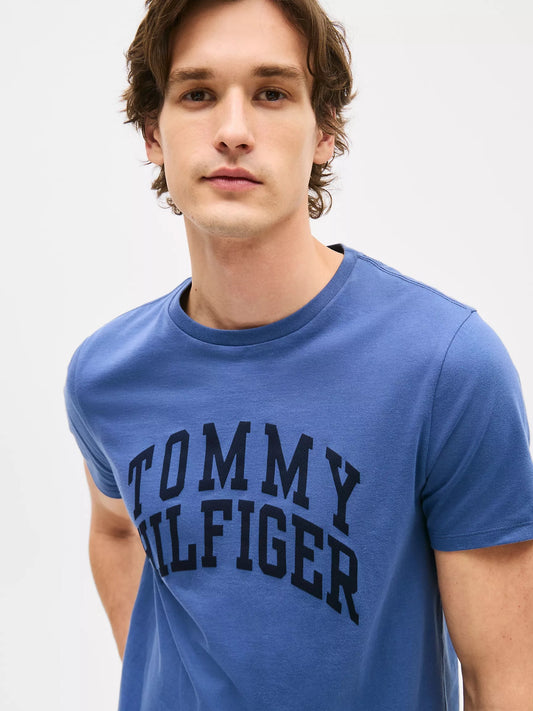 Franela cuello redondo con estampado en arco