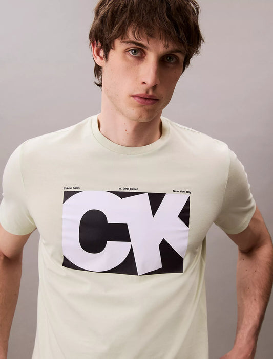 Franela cuello redondo con estampado central