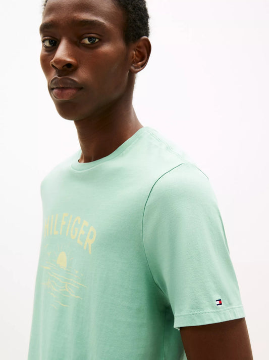 Franela cuello redondo con estampado central