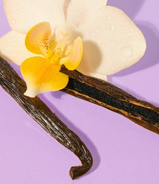 Protector de labios Vanilla Bean