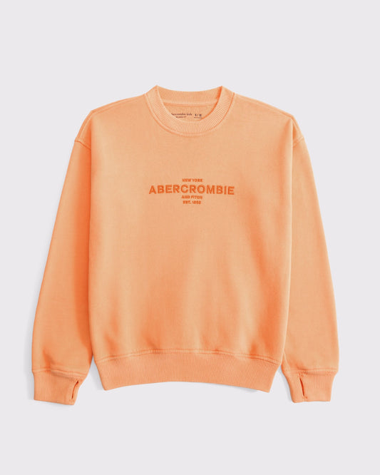 Sudadera cuello redondo con bordado central para niño