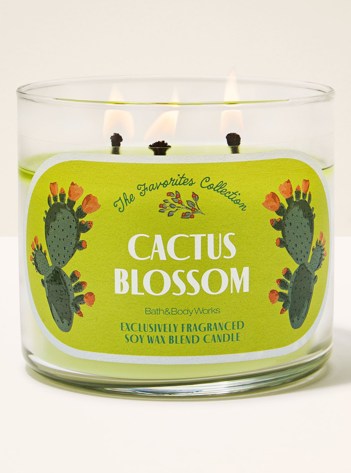 Vela 3 mechas Cactus Blossom