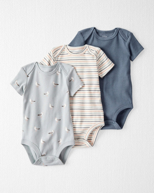 3 Pack Bodys estampado para niño